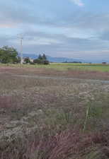 East view across lot from west on easement