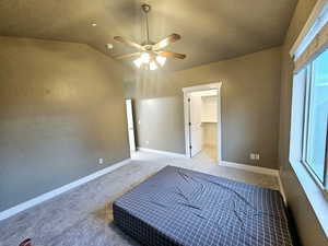 Bedroom featuring multiple windows, vaulted ceiling, a spacious closet, and a closet