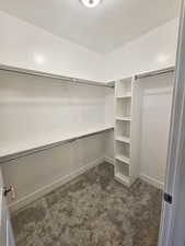 Spacious closet with carpet flooring