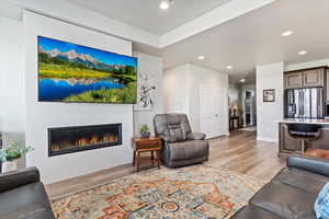 Living room featuring light wood-type flooring