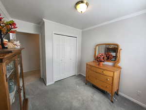 Bedroom with ornamental molding, a closet, and carpet