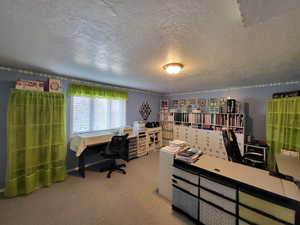 Office area with a textured ceiling and carpet flooring