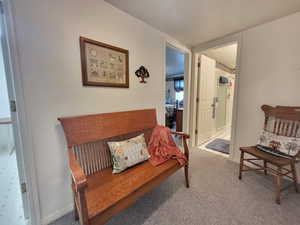 Living area featuring carpet