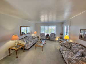 Living room with ornamental molding, plenty of natural light, and carpet floors