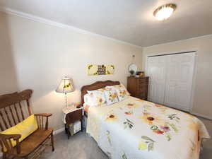 Carpeted bedroom featuring a closet and crown molding