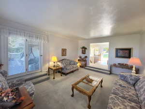 Living room featuring carpet