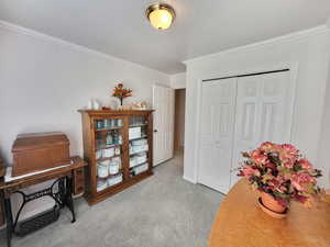 Living area featuring ornamental molding and carpet