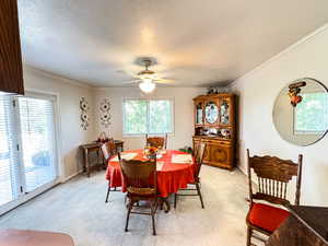 Dining area with ornamental molding, light colored carpet, a healthy amount of sunlight, and ceiling fan