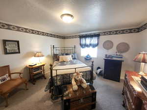 Bedroom featuring carpet floors and a textured ceiling