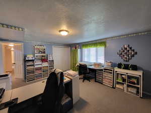 Office with carpet floors and a textured ceiling