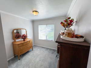 Interior space featuring crown molding and a textured ceiling