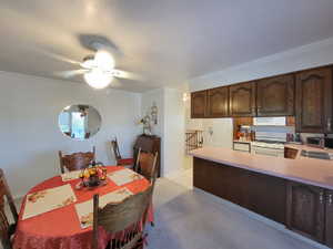 Kitchen with ceiling fan, sink, white appliances, dark brown cabinets, and crown molding