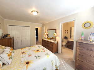 Carpeted bedroom featuring connected bathroom, ornamental molding, and a closet