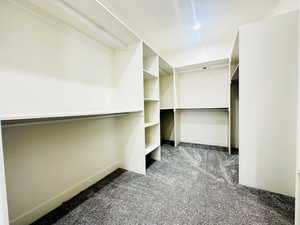 Walk in closet with carpet flooring