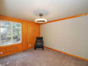 Unfurnished room featuring carpet flooring and wood walls