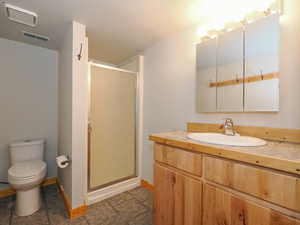 Bathroom with vanity, toilet, and an enclosed shower