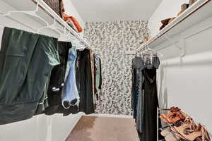 Spacious closet with carpet