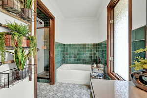 Bathroom with crown molding and shower with separate bathtub