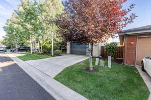 View of property hidden behind natural elements featuring a garage and a front yard