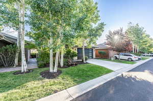 View of property hidden behind natural elements with a garage and a front lawn