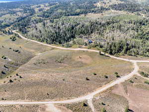 Drone / aerial view with a wooded view