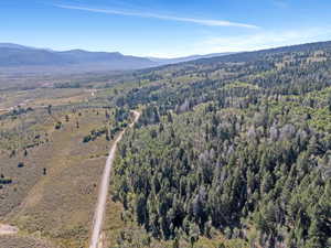 Birds eye view of property with a mountain view and a view of trees