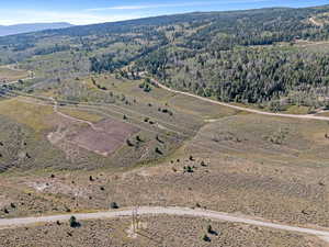 Birds eye view of property with a mountain view