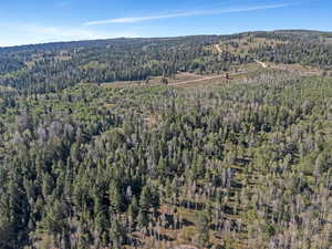 Aerial view featuring a view of trees