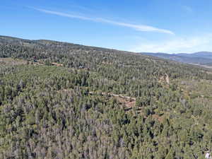 Birds eye view of property featuring a mountain view and a forest view