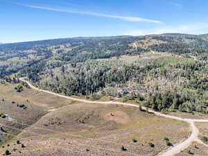 Birds eye view of property featuring a view of trees