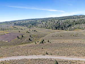 Drone / aerial view featuring a rural view