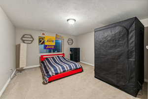 Carpeted bedroom with a textured ceiling