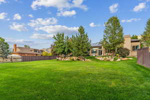 View of backyard