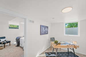 Office space featuring plenty of natural light and carpet flooring