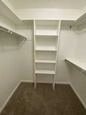 Spacious closet featuring dark colored carpet