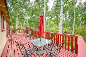 View of wooden deck