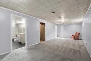 Interior space with ornamental molding, carpet, and sink