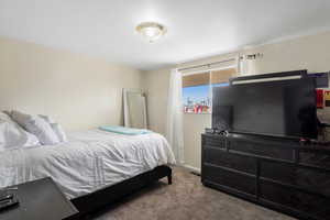 View of carpeted bedroom