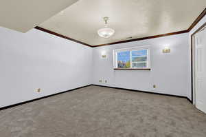 Bedroom featuring brand new carpet, crown molding, and a textured ceiling