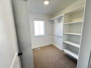 Walk in closet featuring carpet floors