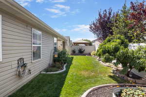 Private Backyard featuring tomato plants, peach tree and miscellaneous fruits and vegetables.