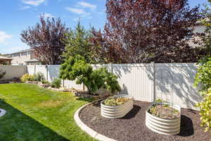 Private Backyard featuring tomato plants, peach tree, grape vines, strawberries and miscellaneous fruits and vegetables.