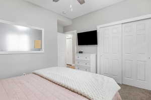 Bedroom 5