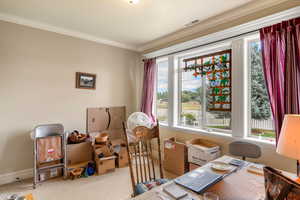 Office with carpet flooring, crown molding, and a healthy amount of sunlight