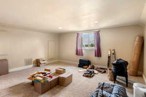 Miscellaneous room featuring vaulted ceiling and carpet