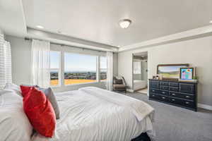 Carpeted Master bedroom with connected bathroom