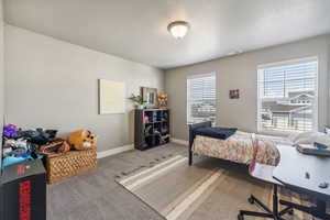 Carpeted bedroom featuring multiple windows