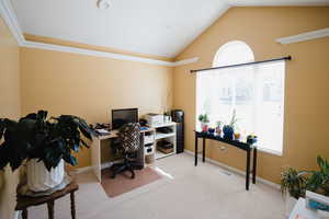 Office area featuring carpet, crown molding, and vaulted ceiling