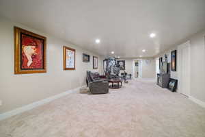 Basement family room