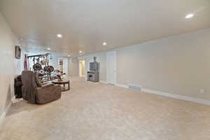 Basement family room